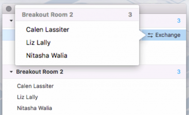 gotomeeting breakout rooms